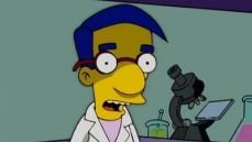 Симпсоны 18 сезон 11 серия