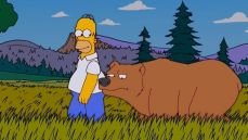 Симпсоны 15 сезон 5 серия