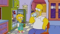 Симпсоны 20 сезон 12 серия