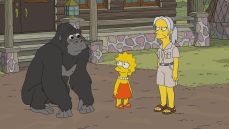 Симпсоны 31 сезон 5 серия